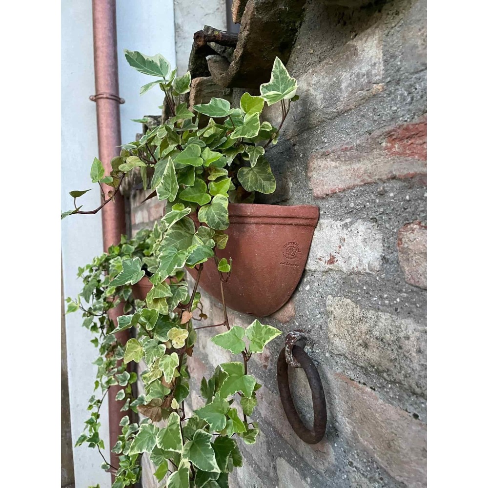 Smooth Wall Pocket in Terracotta